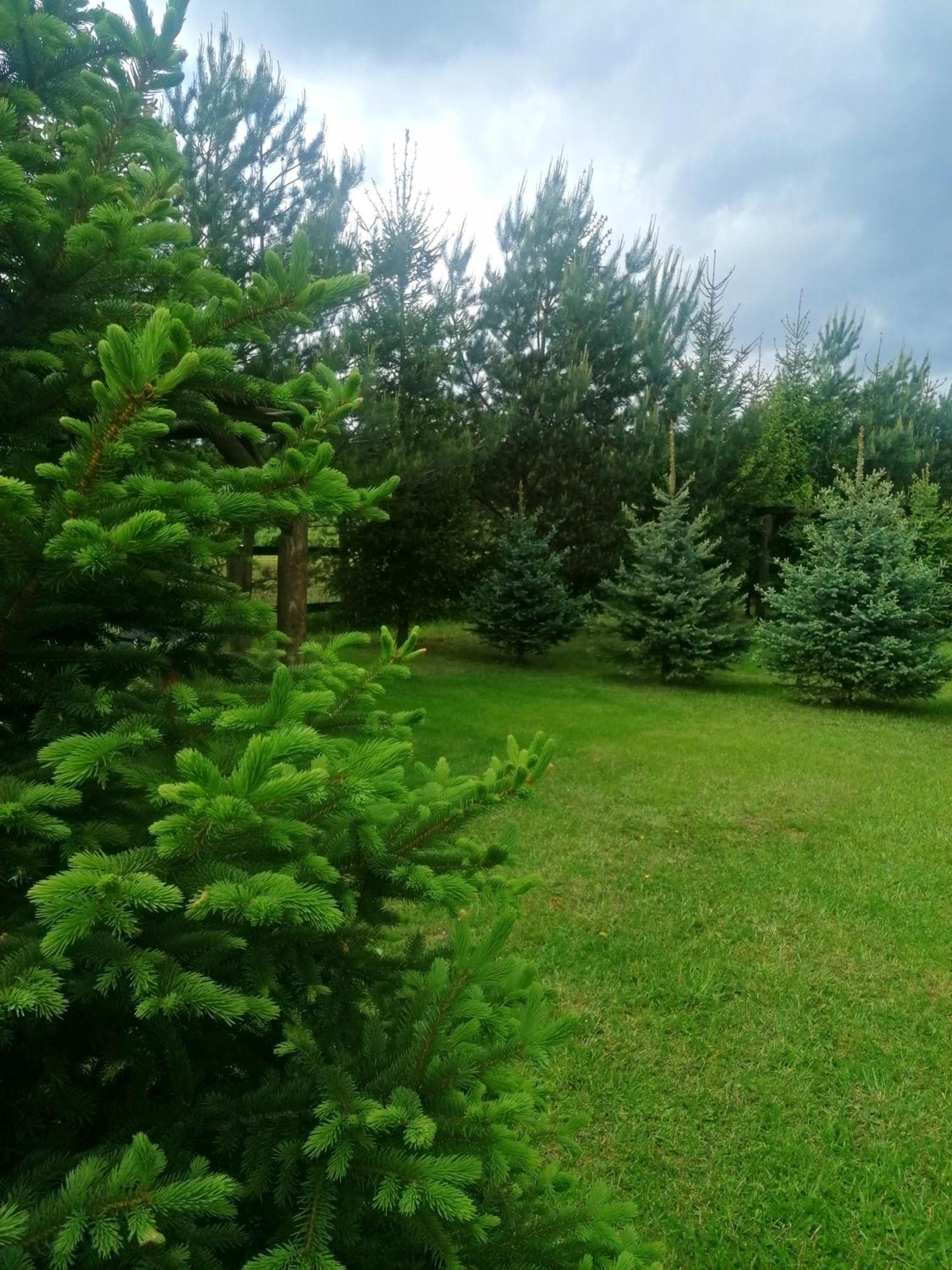 Camp Pacho Hotel Prievidza Buitenkant foto
