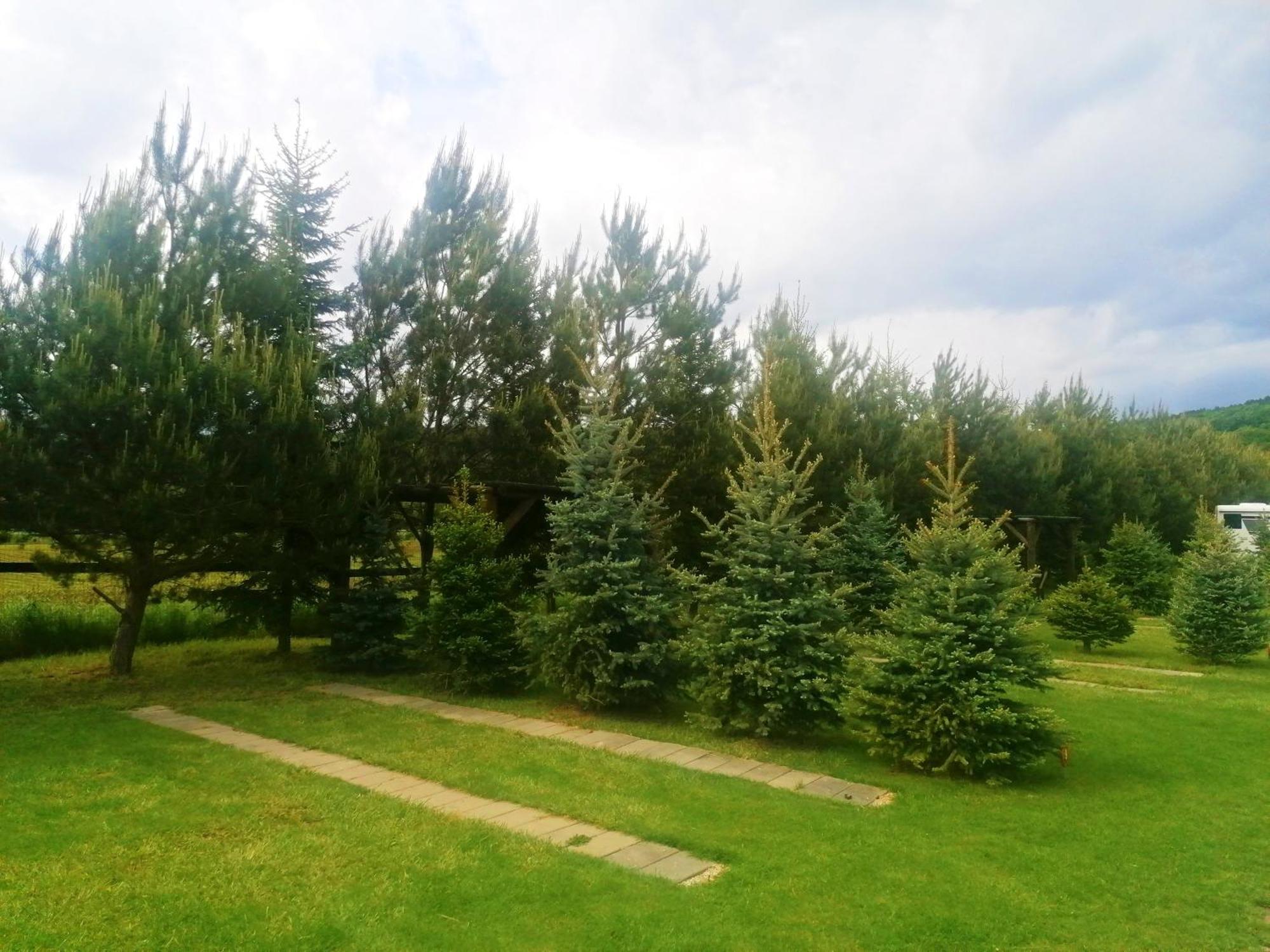 Camp Pacho Hotel Prievidza Buitenkant foto